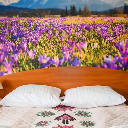 Couette-café Kubik 3*